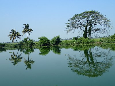 Alapuzza