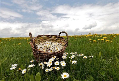 Objednejte si kalendář na rok 2018 s fotografiemi a básněmi našich čtenářů