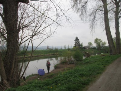 Kapři se deště nebojí