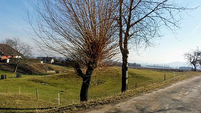 Kolem Červenice