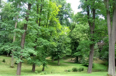 Kousek zámeckého parku na Chyši