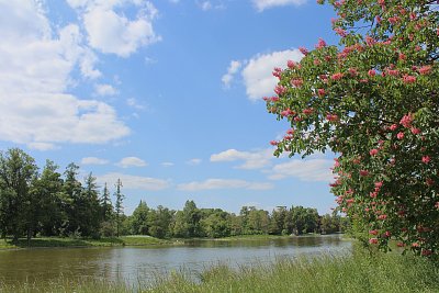 Barevné jaro