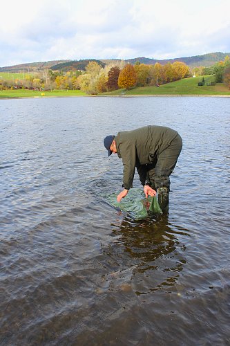 Tento je hodný - kapříkovi dal svobodu