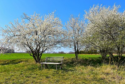 Pohodové svátky jara