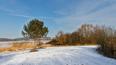 Lednová procházka ...