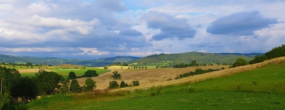 Červenec na Sušicku -Bílenice