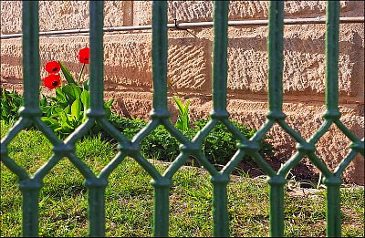 Fanfán za mřížemi