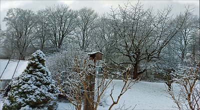 Únor bílý zahradu nám sílí