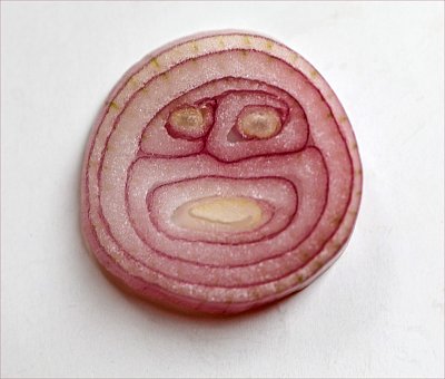 Uhodnete kdo se na vás šklebí?