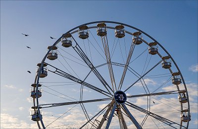 Černí pasažéři ...