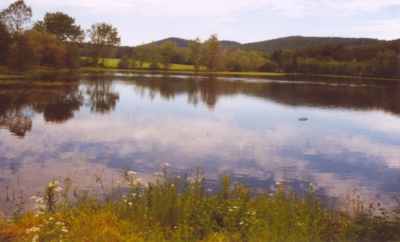 Miřkovské rybníky