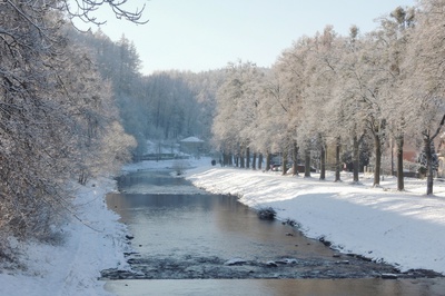 Mrazivý den