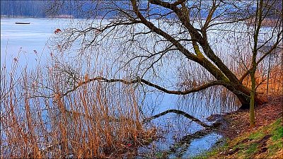 Na  rybníku Brodský