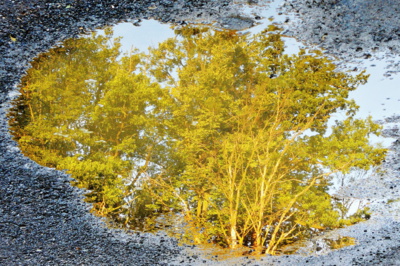 Neobyčejně obyčejná