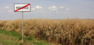 Nyní Řepkovice
