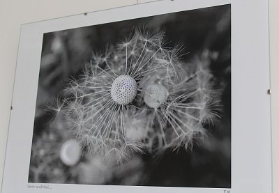 Musím najít správný úhel na fotografování