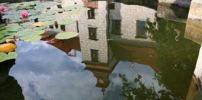 Zrcadlení v kašně...FD