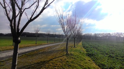 Sluníčkové polechtání