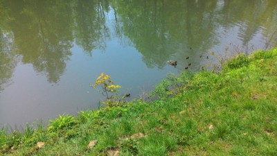 Šťastná sedmička