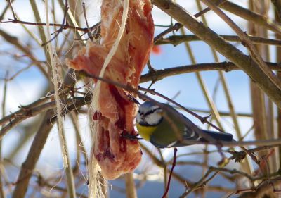 Konečně budu mít plné bříško....