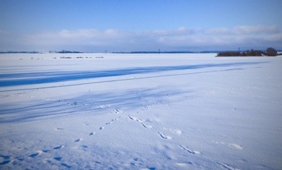 Stopy, stopy, stopy......