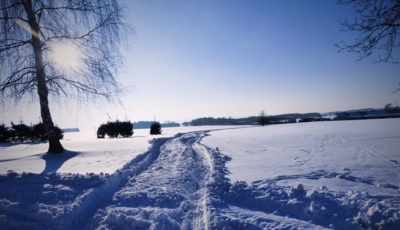 Křížení cest....