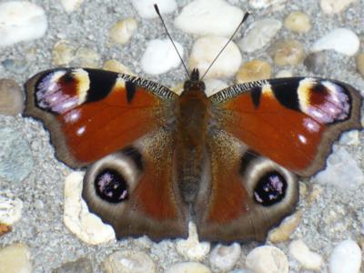 I na dlažbě se lze ohřát