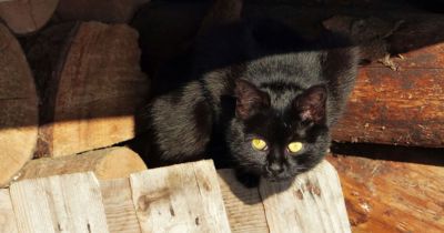 Jsem Čertík bojte se !!!!!