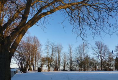Zimní s kolíčky.....