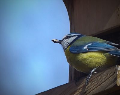 Sláva mám úlovek.....