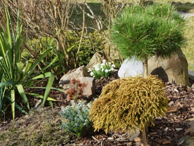 Skalka se už probouzí...