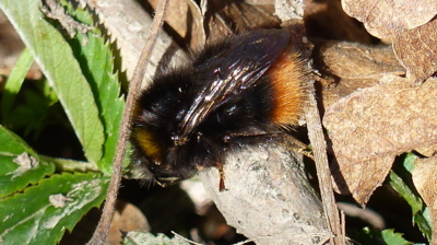 Nenechal se vyrušit