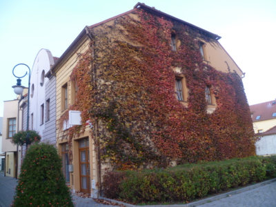 Podzimní kabát z loňska...