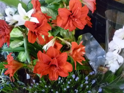 ...v tržnici na Madeiře...