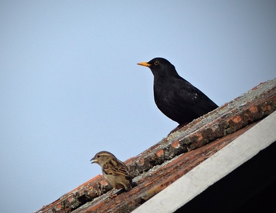 Společně to jaro opravdu uhlídáme....