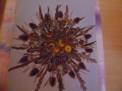 Sluníčko sušené....