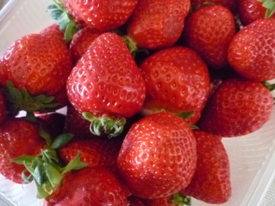 červená se, červená...