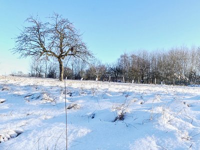 Když u nás bylo bílo...rok 2022