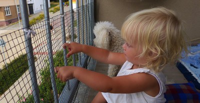 V bezpečí za mříží