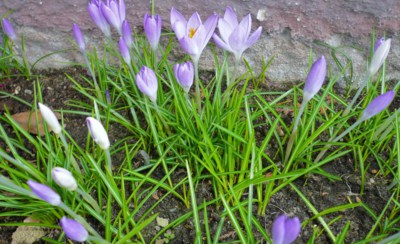 Čekání na sluníčko