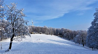"Kdepak ty ptáčku hnízdo máš" ........ Až sníh a mráz dá loukám plášť.....