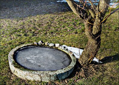 Ledové oko