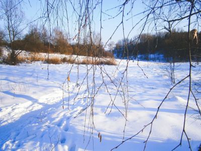 Poslední zimní.....