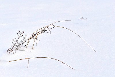 Sněhem záváté.....