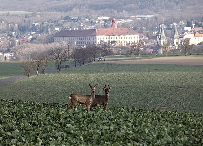 Toulky krajinou mého domova ...