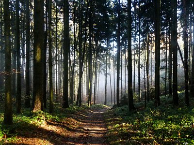 Z cesty za sluníčkem....