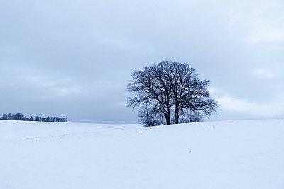 V modré hodince...II....*