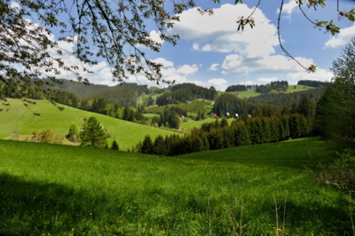 Soláň