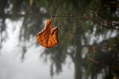 Jsem taky uvázaný....