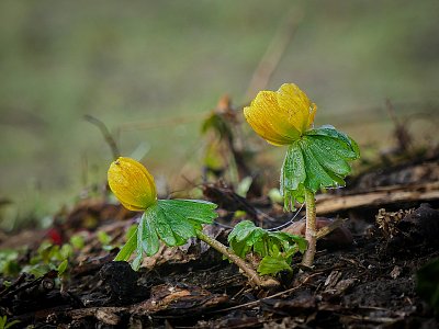Spoutný talovín...